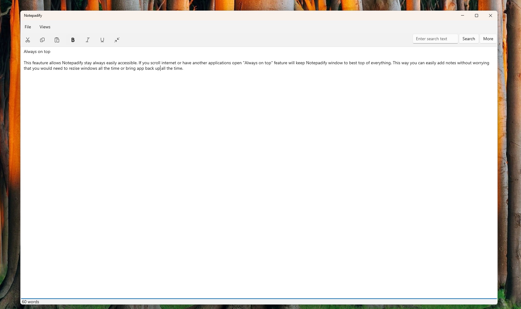 Notepadify main view